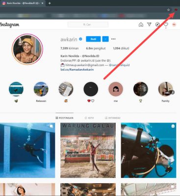 Stalking Instagram Tanpa Ketahuan Dengan Hiddengram
