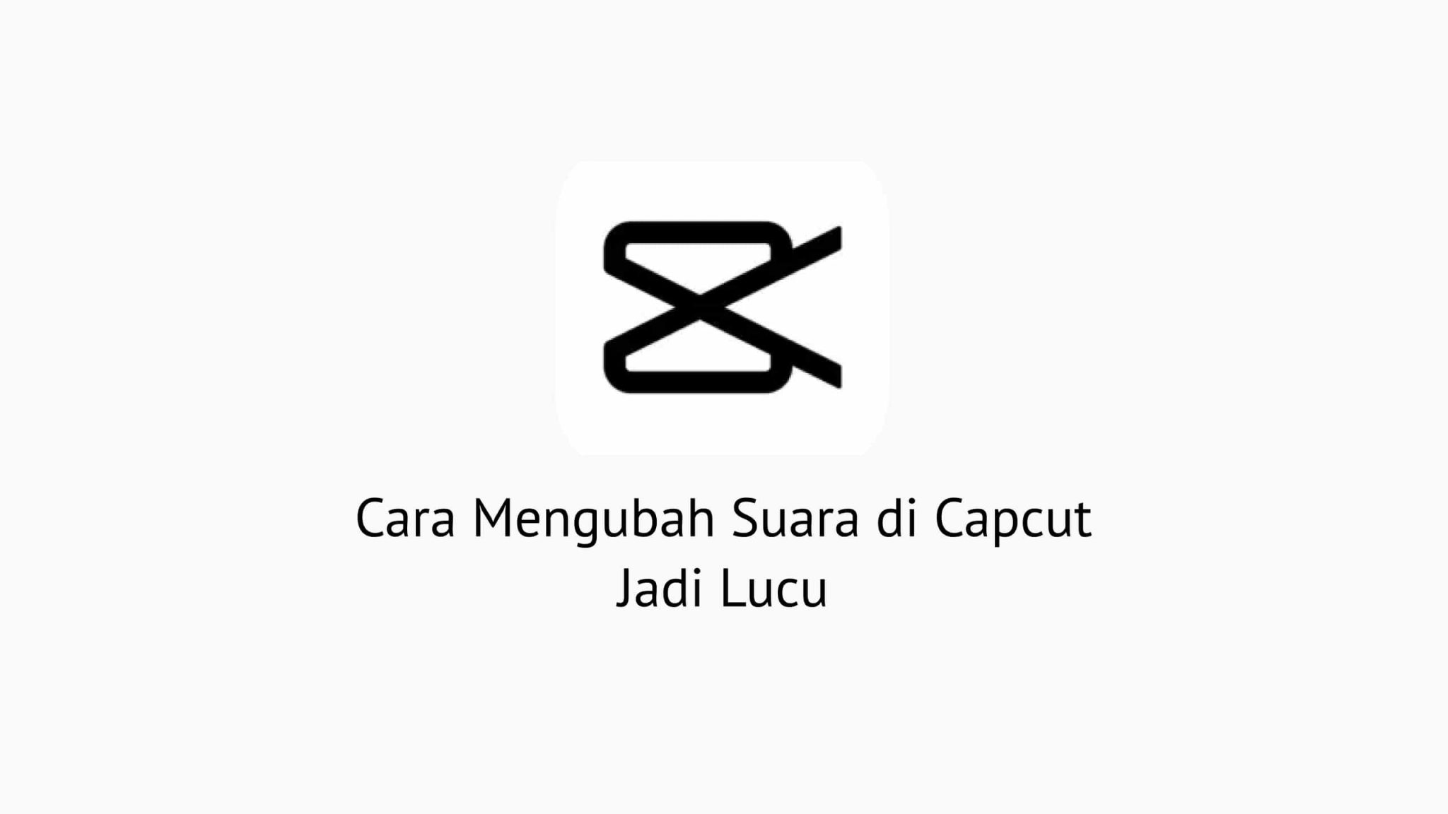2 Cara Hapus Background di Capcut [Komputer / HP]